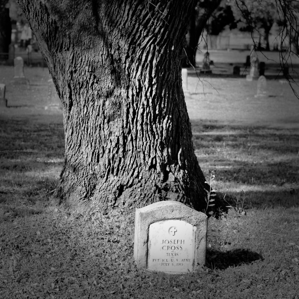 Mid-Week Monochrome #49