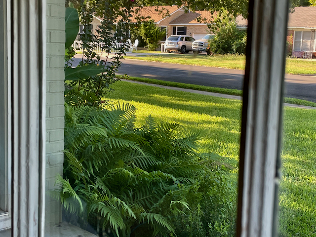 YHWH’s King: Gospel of Matthew Number 5